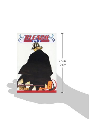 Bleach, Vol. 6 – Mix Manga Store