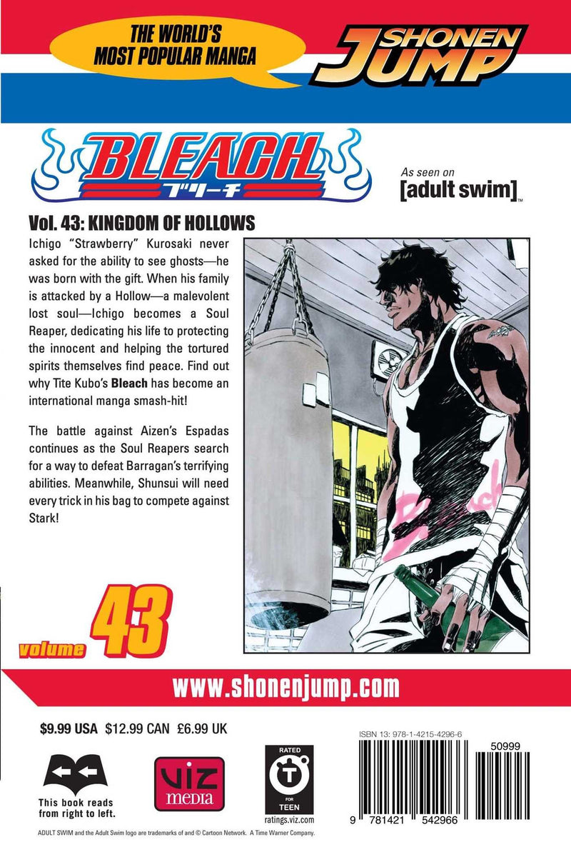 Bleach, Vol. 43 – Mix Manga Store