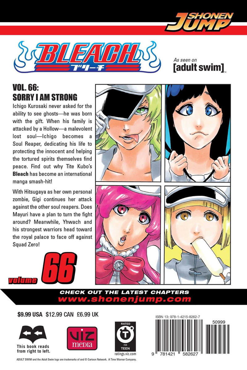 Bleach, Vol. 66 | Book by Tite Kubo | Official Publisher