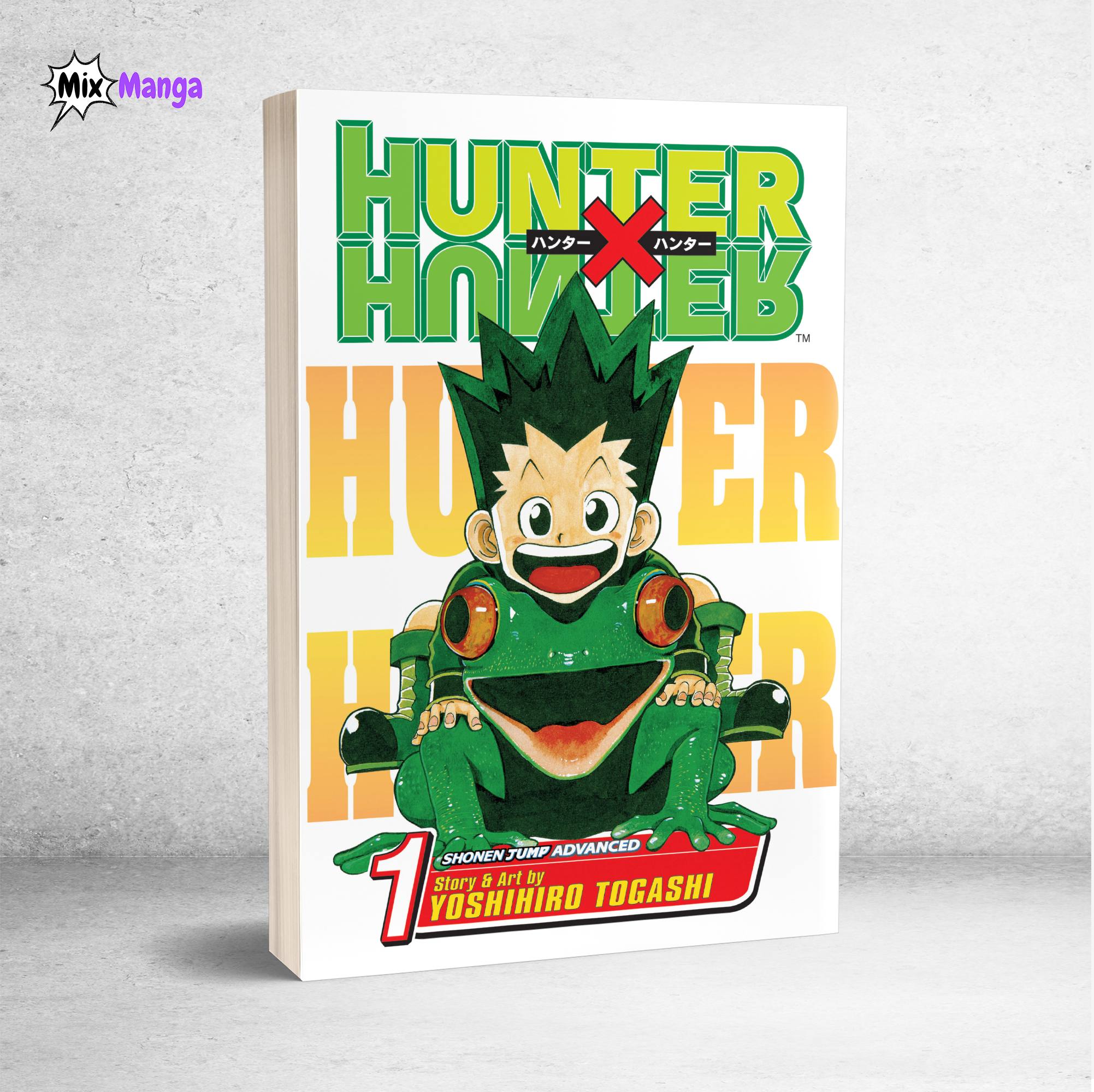 Hunter x Hunter, Vol. 1 – Mix Manga Store