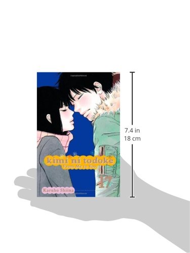 Kimi ni Todoke: From Me to You, Vol. 17