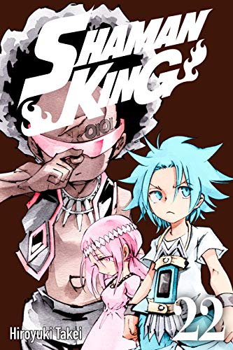 Shaman King Vol. 22