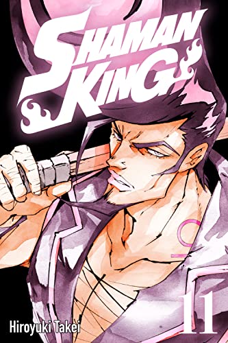 Shaman King Vol. 11