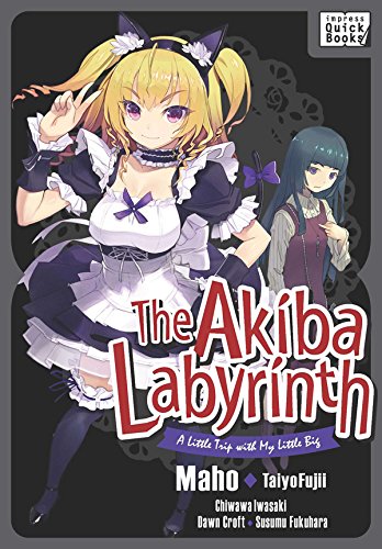 The Akiba Labyrinth: A Little Trip with My Little Big