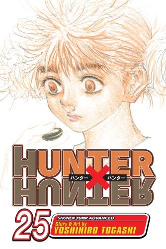 Hunter x Hunter, Vol. 25