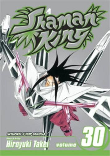 Shaman King Vol. 30