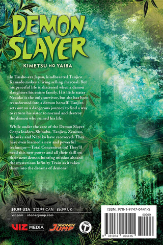 Demon Slayer: Kimetsu no Yaiba, Vol. 7