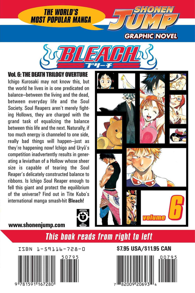 Bleach, Vol. 6 – Mix Manga Store