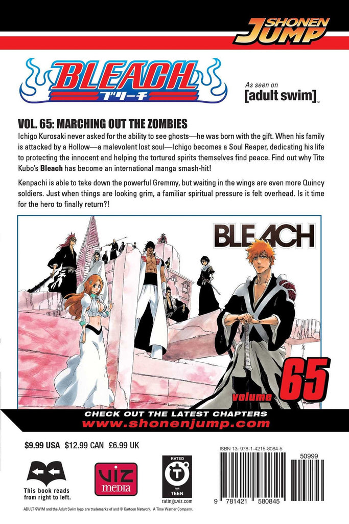 Bleach, Vol. 65 – Mix Manga Store