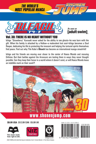 Bleach, Vol. 30