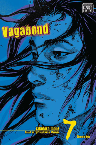 Vagabond, Vol. 7