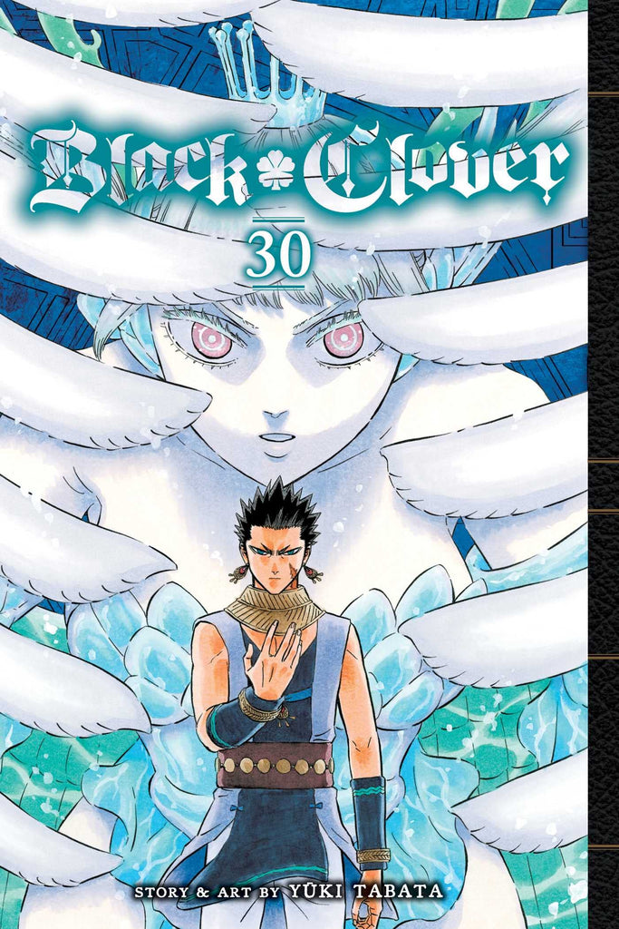 BLACK CLOVER Vol.30