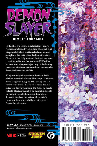 Demon Slayer: Kimetsu no Yaiba, Vol. 15