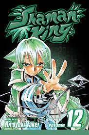 Shaman King Vol. 12